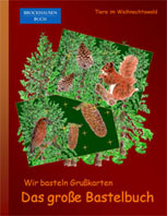 Bastelbuch - Wir basteln Grusskarten
