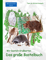 Bastelbuch - Wir basteln Grusskarten