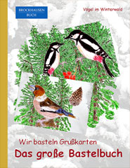 Bastelbuch - Wir basteln Grusskarten