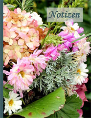 Notizbuch - Rosa Herbsthortensie