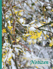 Notizbuch - Winterjasmin im Schnee