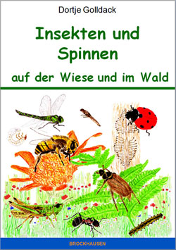 englisch-1